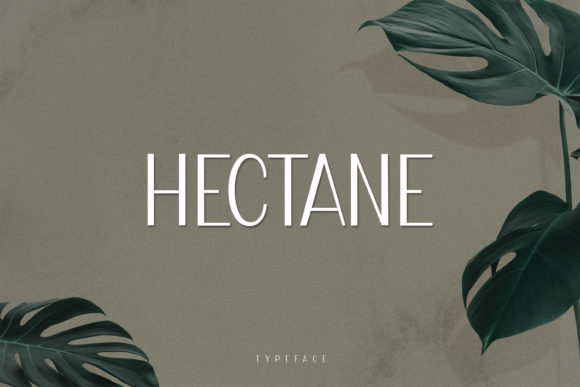 Hectane Font for Modern Web Design