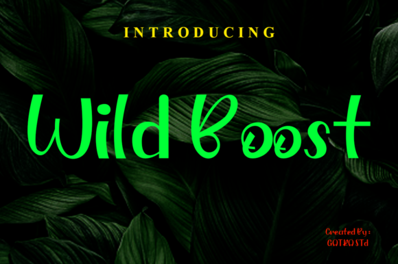 Wild Boost: A Playful Display Font for Creative Branding
